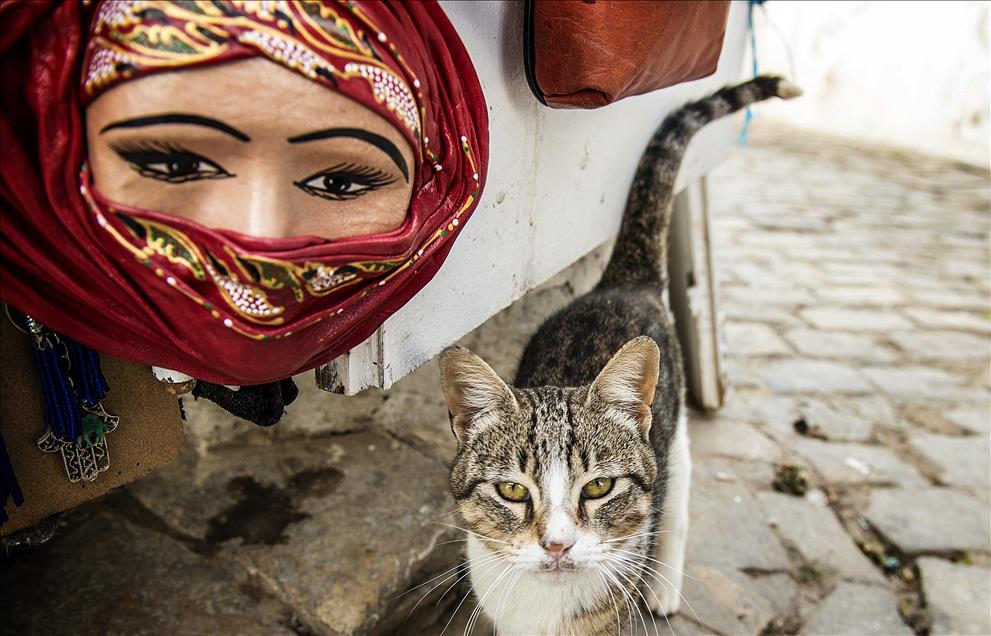 Tourist attraction in Tunisia Anadolu Ajansı