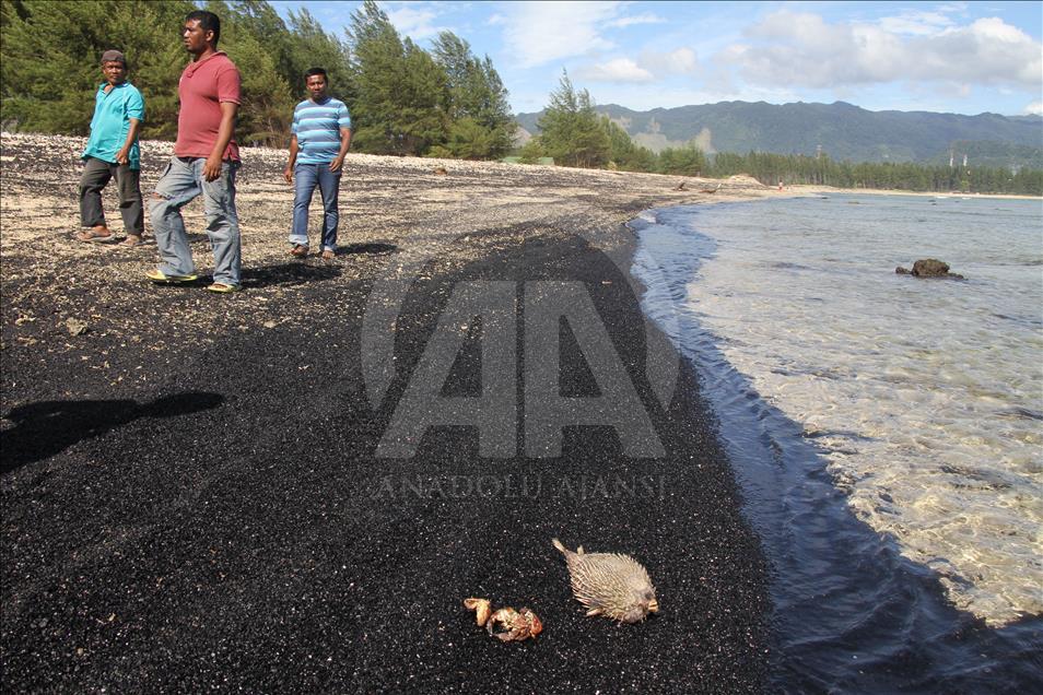 Tumpahan batu bara cemari pantai di Aceh Anadolu Ajansı