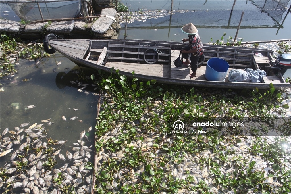 Cuaca buruk sebabkan ikan di Danau Maninjau mati Anadolu Ajansı