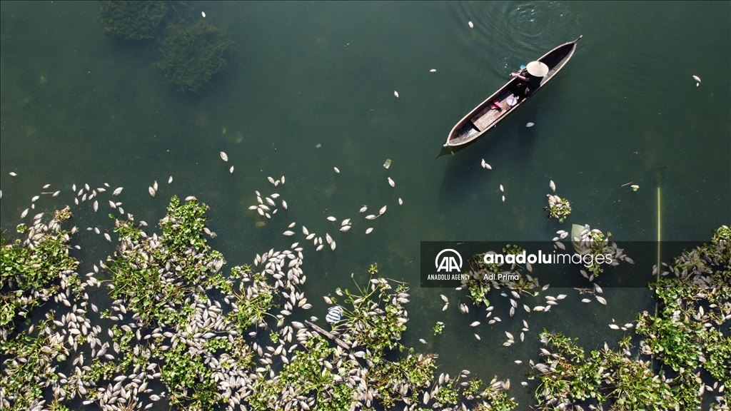 Cuaca Buruk Sebabkan Ikan Di Danau Maninjau Mati Anadolu Ajans