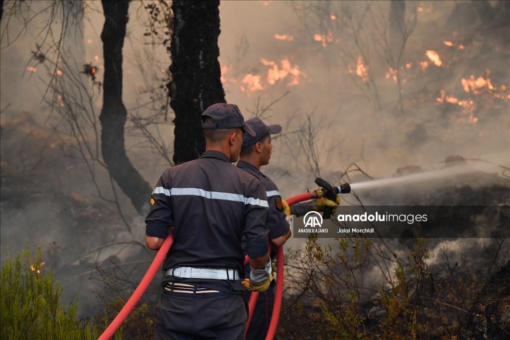 Fas Ta Orman Yang Nlar G Nd R Devam Ediyor Anadolu Ajans