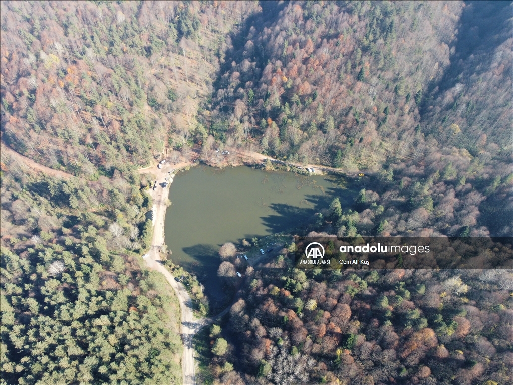 Batı Karadeniz ormanları ziyaretçilerine sonbaharın güzelliklerini