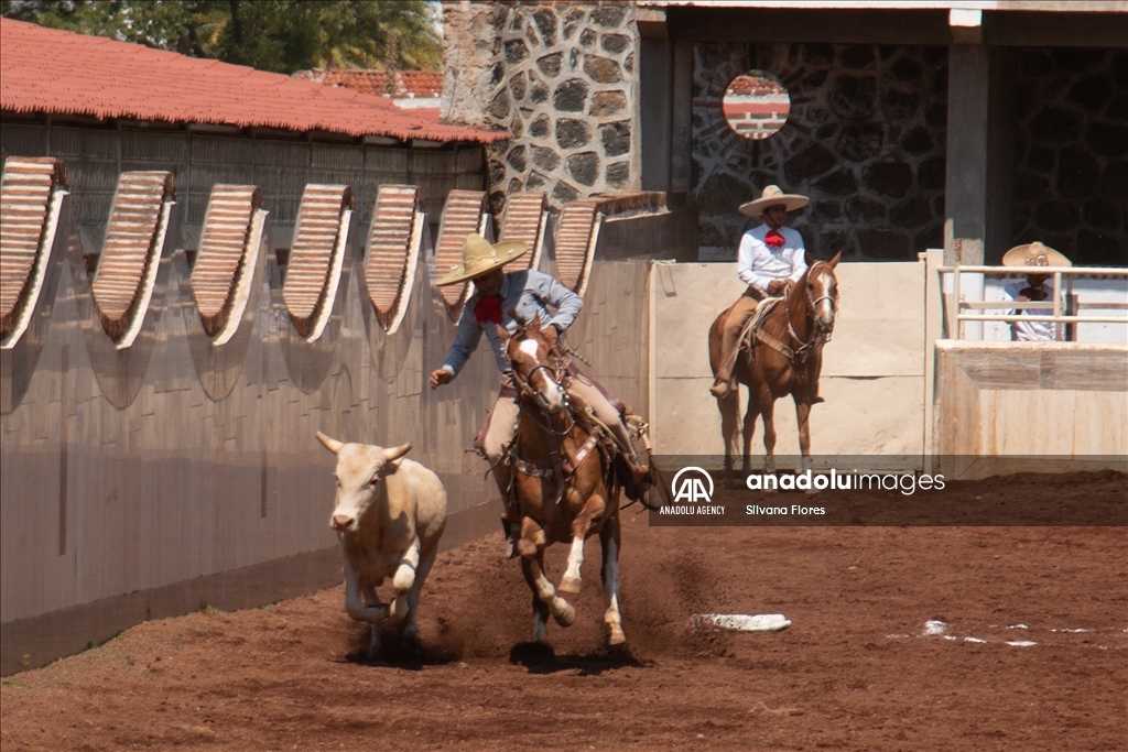 Charriera Show In Mexico Anadolu Ajans