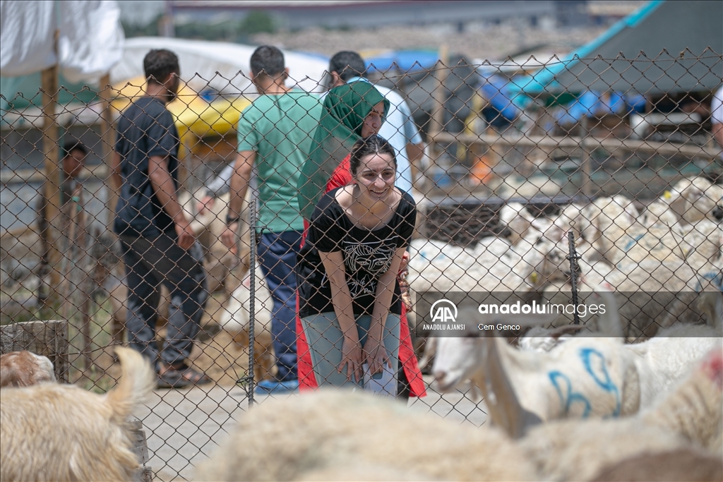 Kurban Pazarlar Nda Arife G N Yo Unlu U