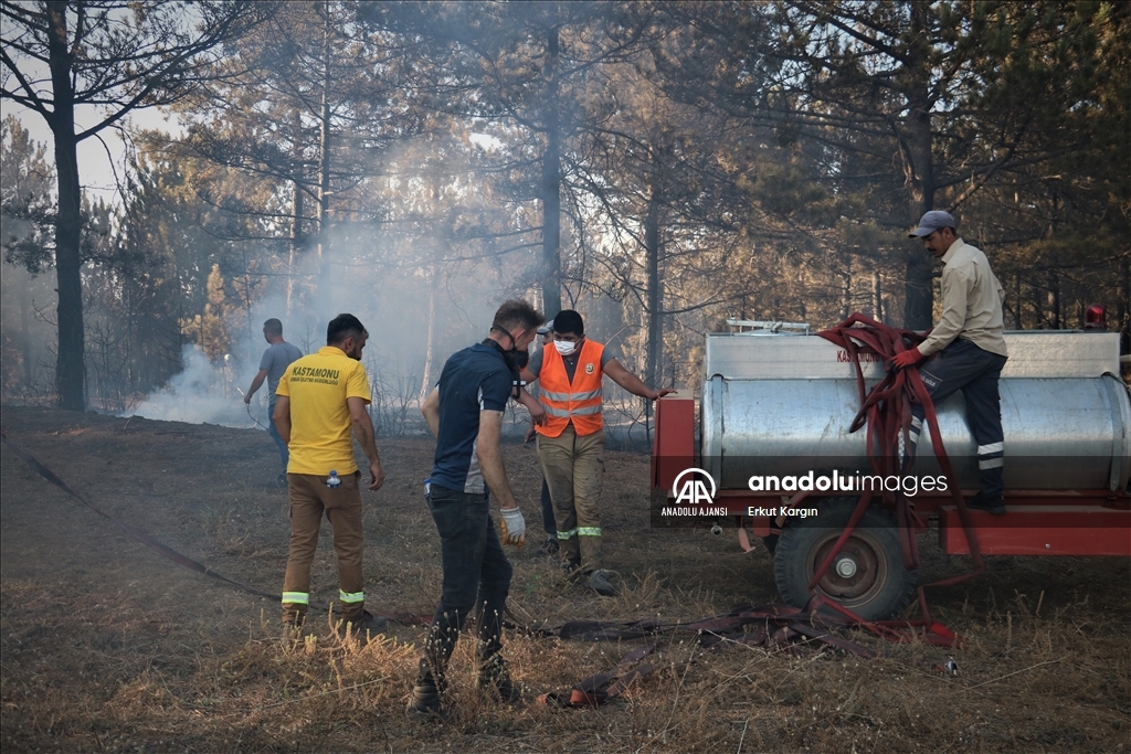 Kastamonu da ormanlık alanda çıkan yangın kontrol altına alındı