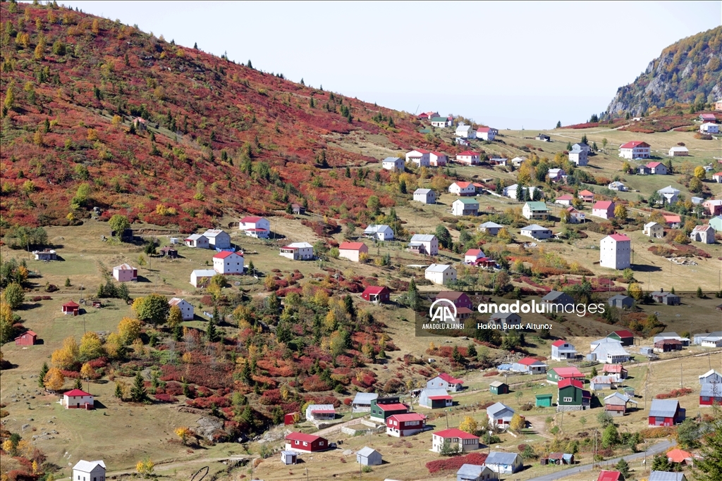 Trabzon Giresun S N R Ndaki Bin Rak Ml Sis Da Nda G Z Zaman