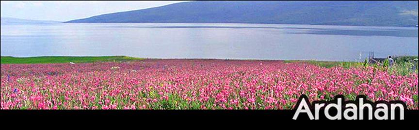 Ardahan