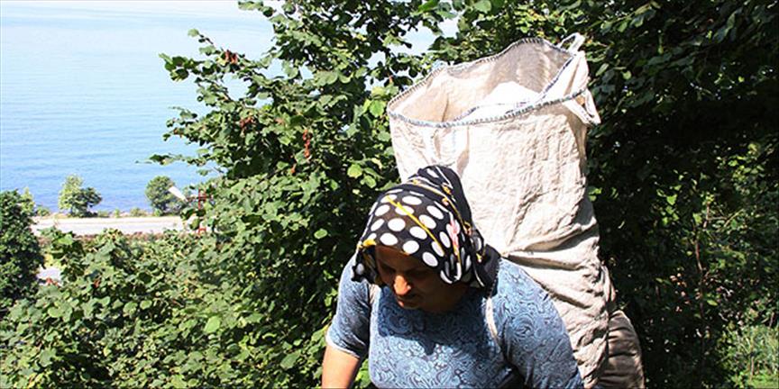 Ramazanda fındık çilesi
