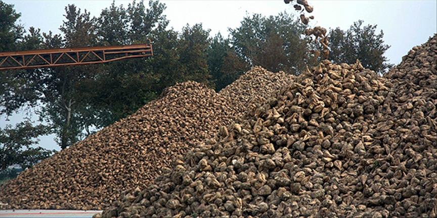 2 şeker fabrikası kapanıyor