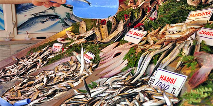 Marmara için balık uyarısı
