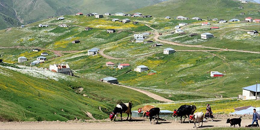 Şehrin stresini yaylalarda atıyorlar