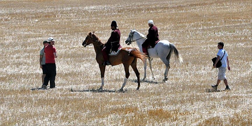 Haçlı seferleri canlandırıldı