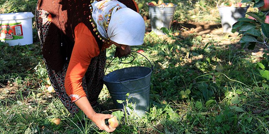 Dalından düşen elma sirke oluyor
