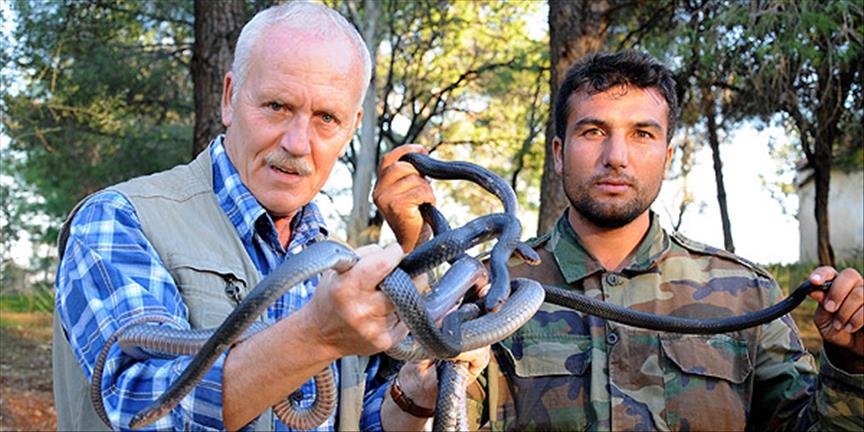 Köylülerden yılan operasyonu