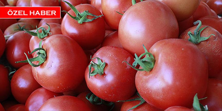 Hormonlu gıda ''erken ergenlik'' nedeni