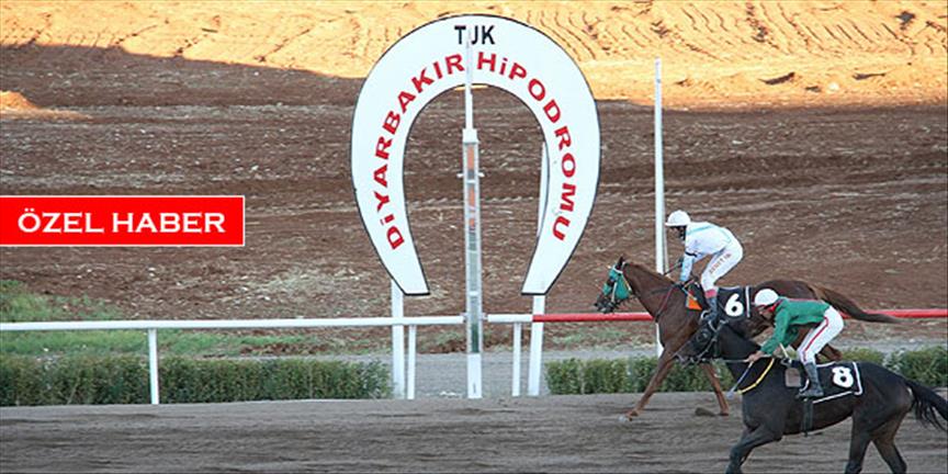 En büyük hipodrom çim piste kavuşuyor
