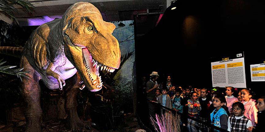 Ondaki çene kimsede yok