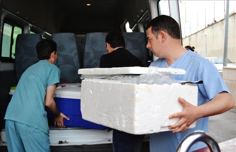Hepatit B hastasından organ nakli