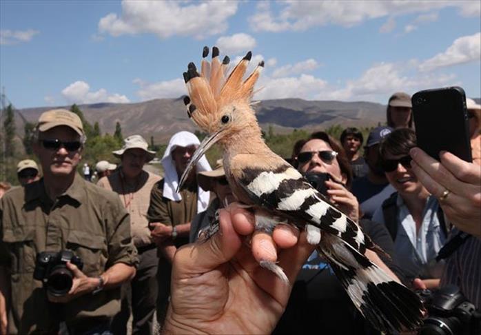 "ناشيونال جيوغرافيك" تضع تركيا على قائمة أولوياتها البحثية