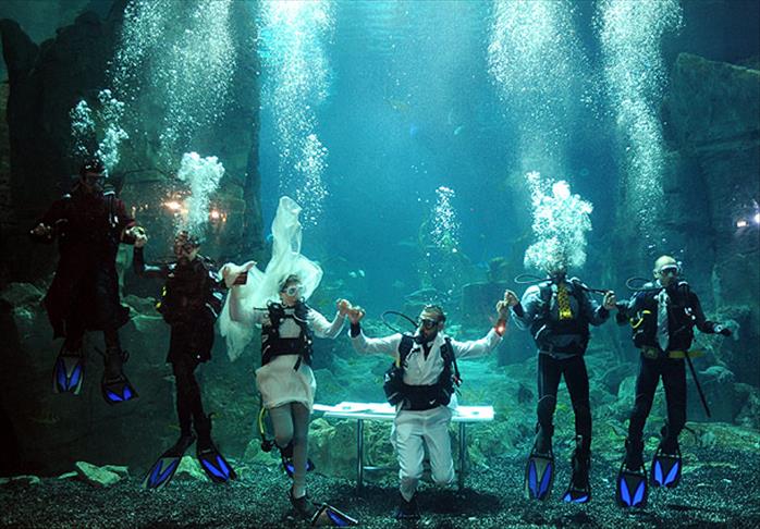 Akvaryumda evlendiler