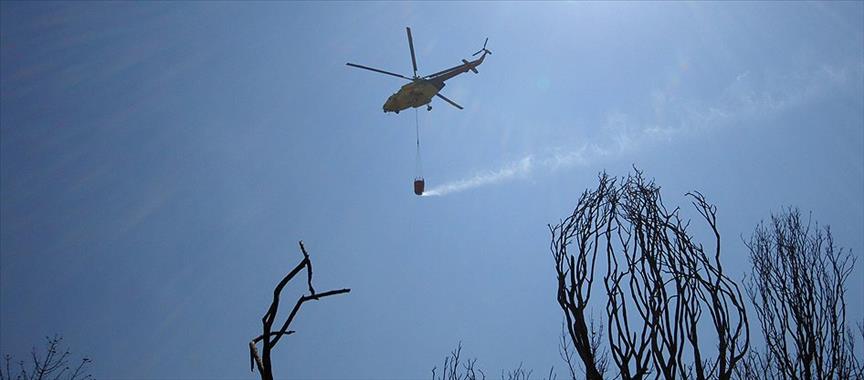 Fire extinguishing helicopter crashes in Turkey