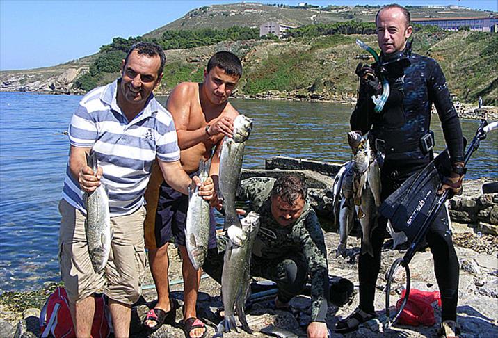 Sinop'ta şoka giren balık bayramı
