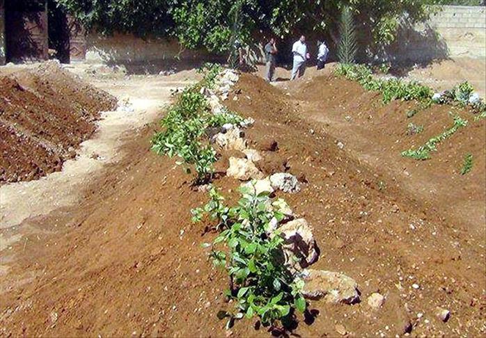 Eyewitnesses tell AA about Darayya massacre