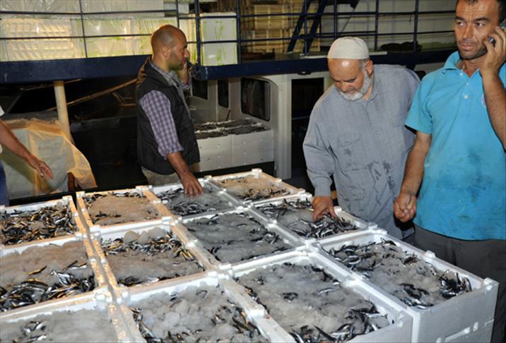 İstanbullu balıkçılar ''Vira Bismillah'' dedi