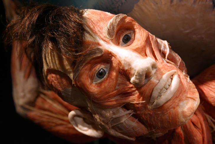 'Body Worlds' to open in Turkish capital