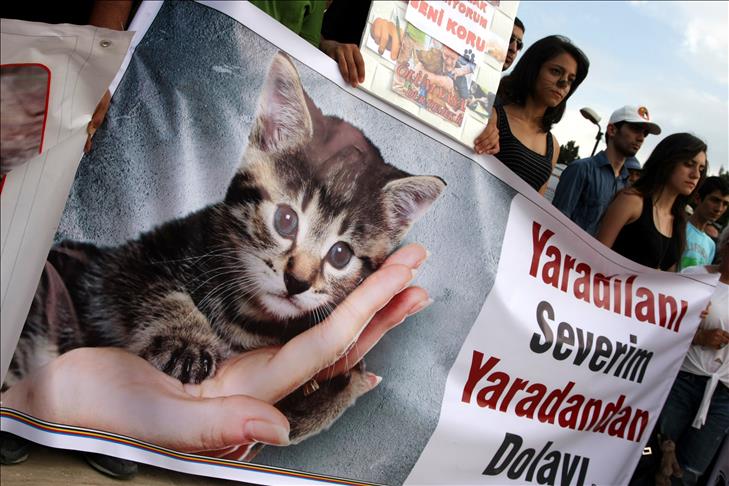 Tasarı geri çekilmedi