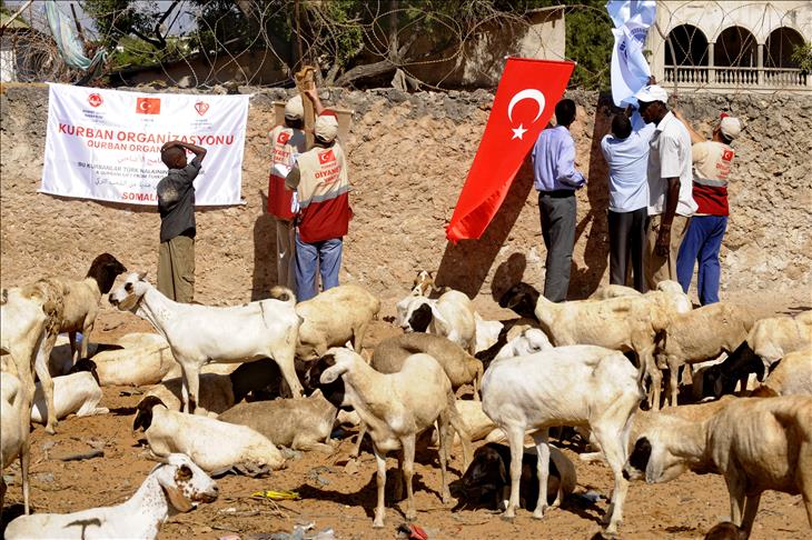 Doctors Worldwide Turkey to provide red meat to 4 African countries during Feast of Sacrifice