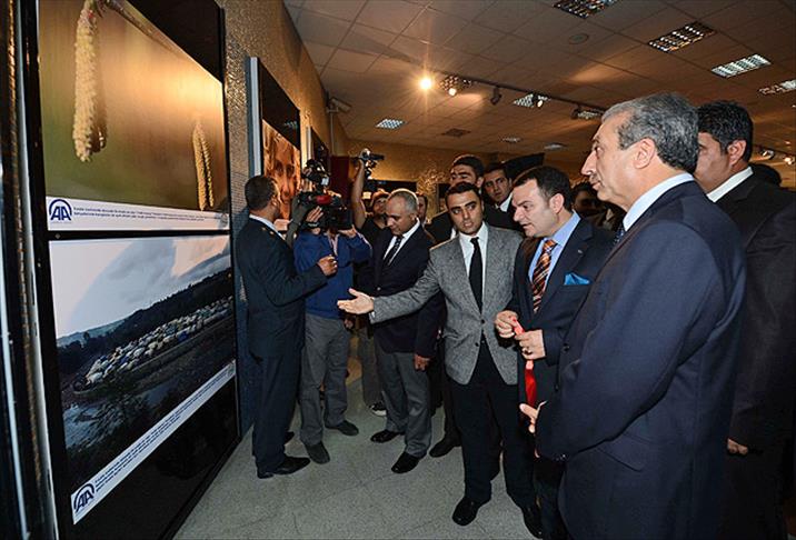 AA ''fındığın öyküsü''nü Başkent'e taşıdı