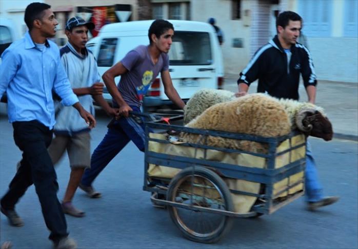 الإفتاء المصرية: توكيل المسيحي واليهودي في ذبح الأضحية جائز