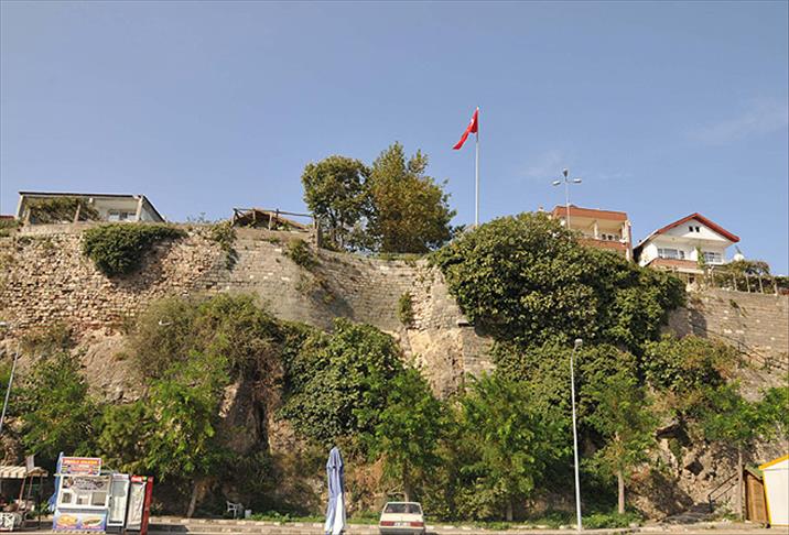 Topların yıkamadığını ağaçlar yapıyor