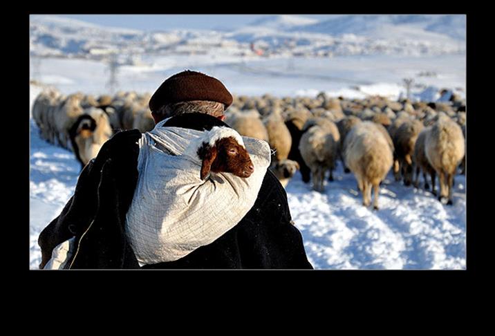Yılın ''Yaşam'' fotoğrafı