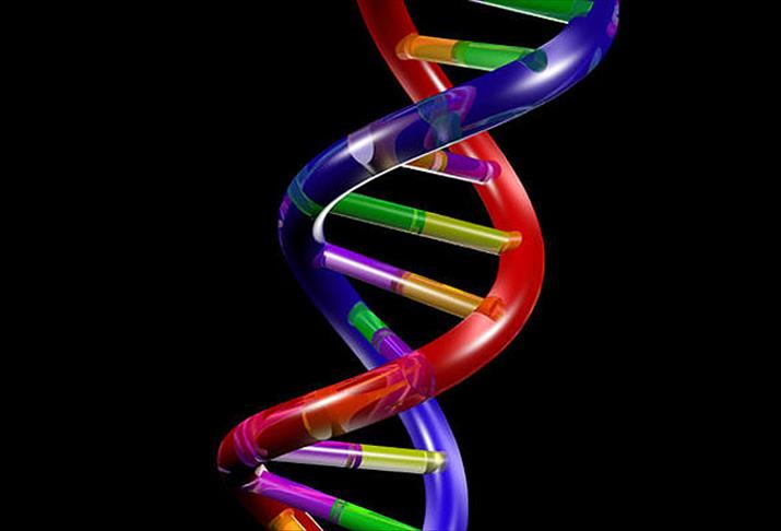 DNA'dan göz ve saç rengi tespiti