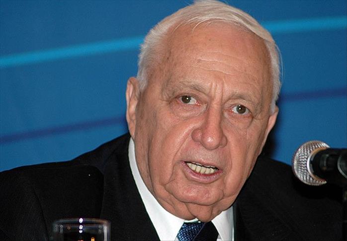 Семь лет комы
