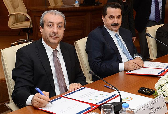 Çobanlığa formasyon eğitimi
