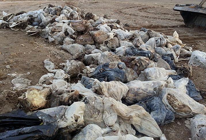 Van'da 21 at kafası bulundu