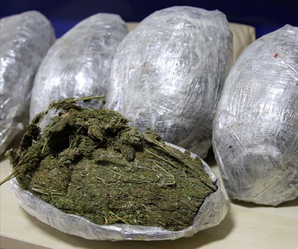 Turkish police confiscate 616 kg of hashish