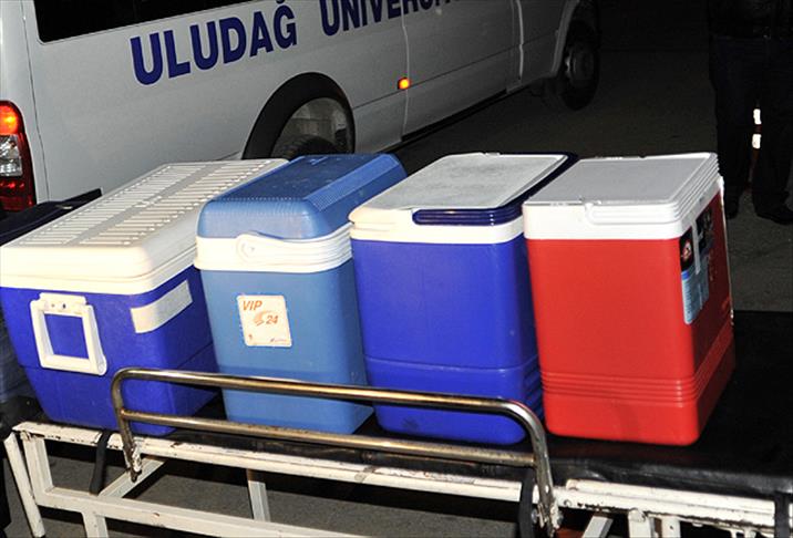 Organ nakli AB ile uyumlu olacak