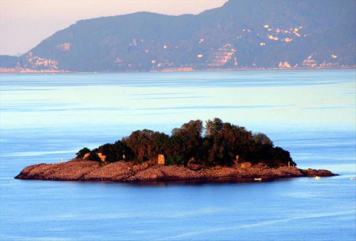 Giresun Adası iki aylığına kuşlara bırakılacak