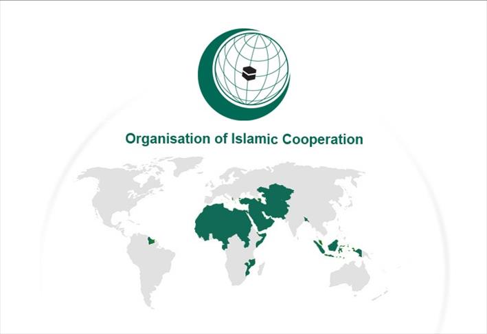 OIC urges humanitarian aid for embattled town of Qusayr