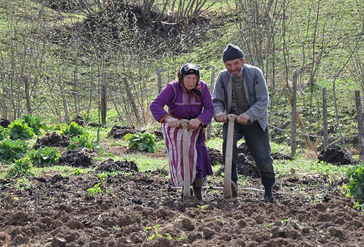 Kırsal nüfus yaşlanıyor