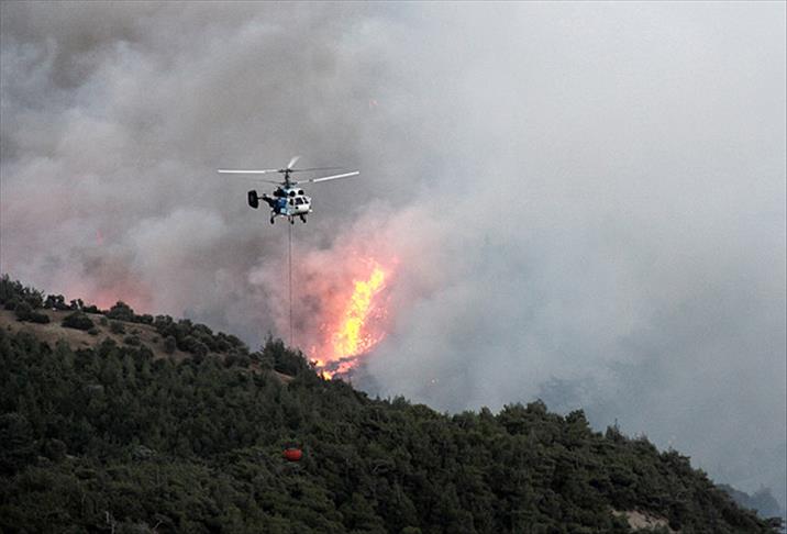 Yanan orman alanında ranta geçit yok