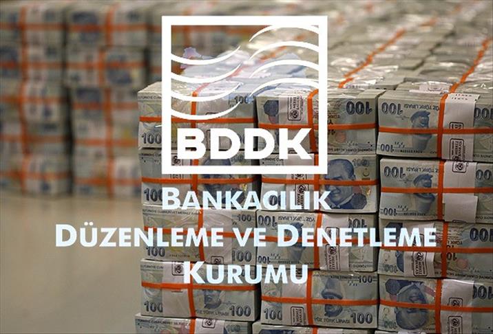 BDDK'dan Hollandalı bankaya izin