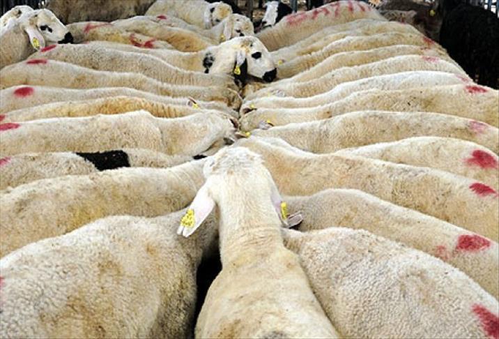 Maddi durumu yetersiz kişi kurbanını dağıtmayabilir