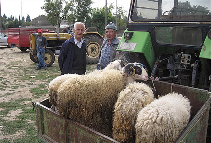 Divê malbatên qurbanan ser jê dikin, ji hev re goşt neşînin