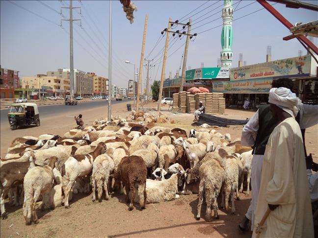 In Sudan, Eid needs available, not affordable