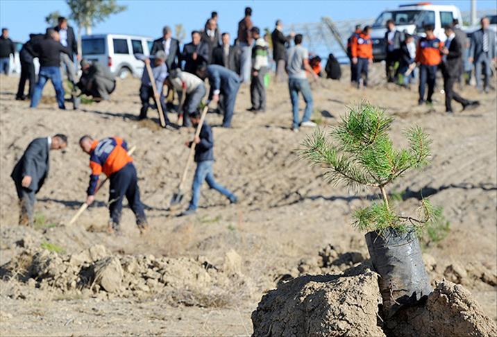 Depremde ölenler 644 fidanla anıldı